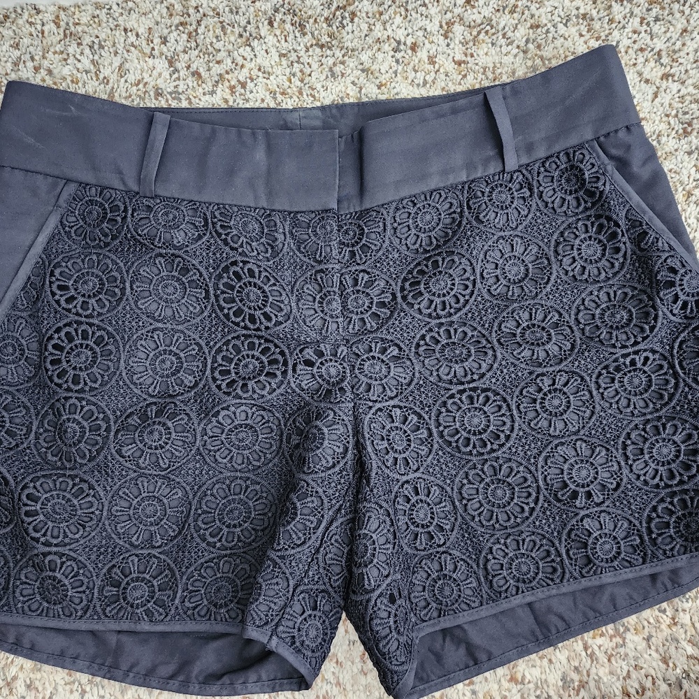 The Limited Navy Canvas Lace Shorts 6